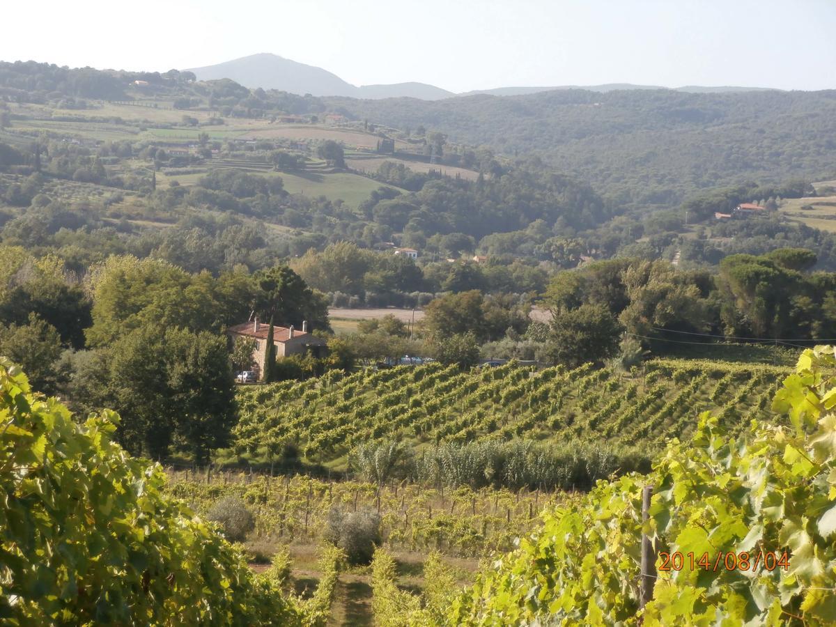 Piccolo Sole Villa Montescudaio Buitenkant foto