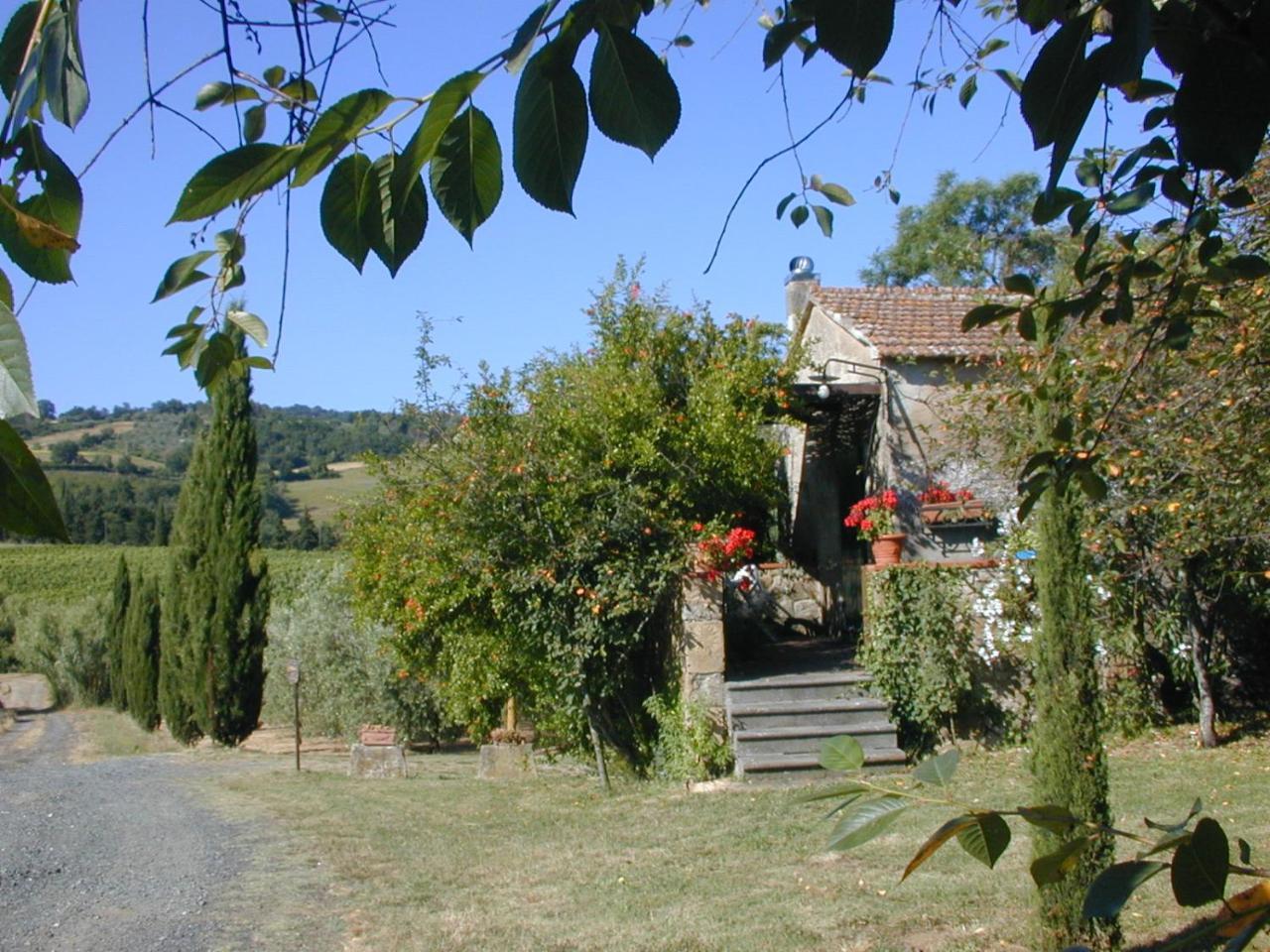 Piccolo Sole Villa Montescudaio Buitenkant foto