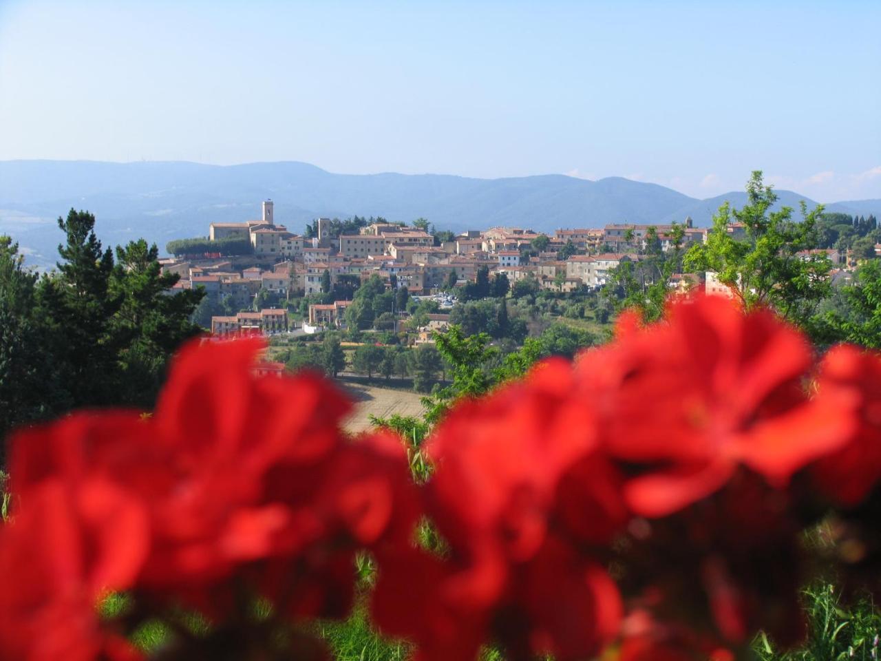 Piccolo Sole Villa Montescudaio Buitenkant foto