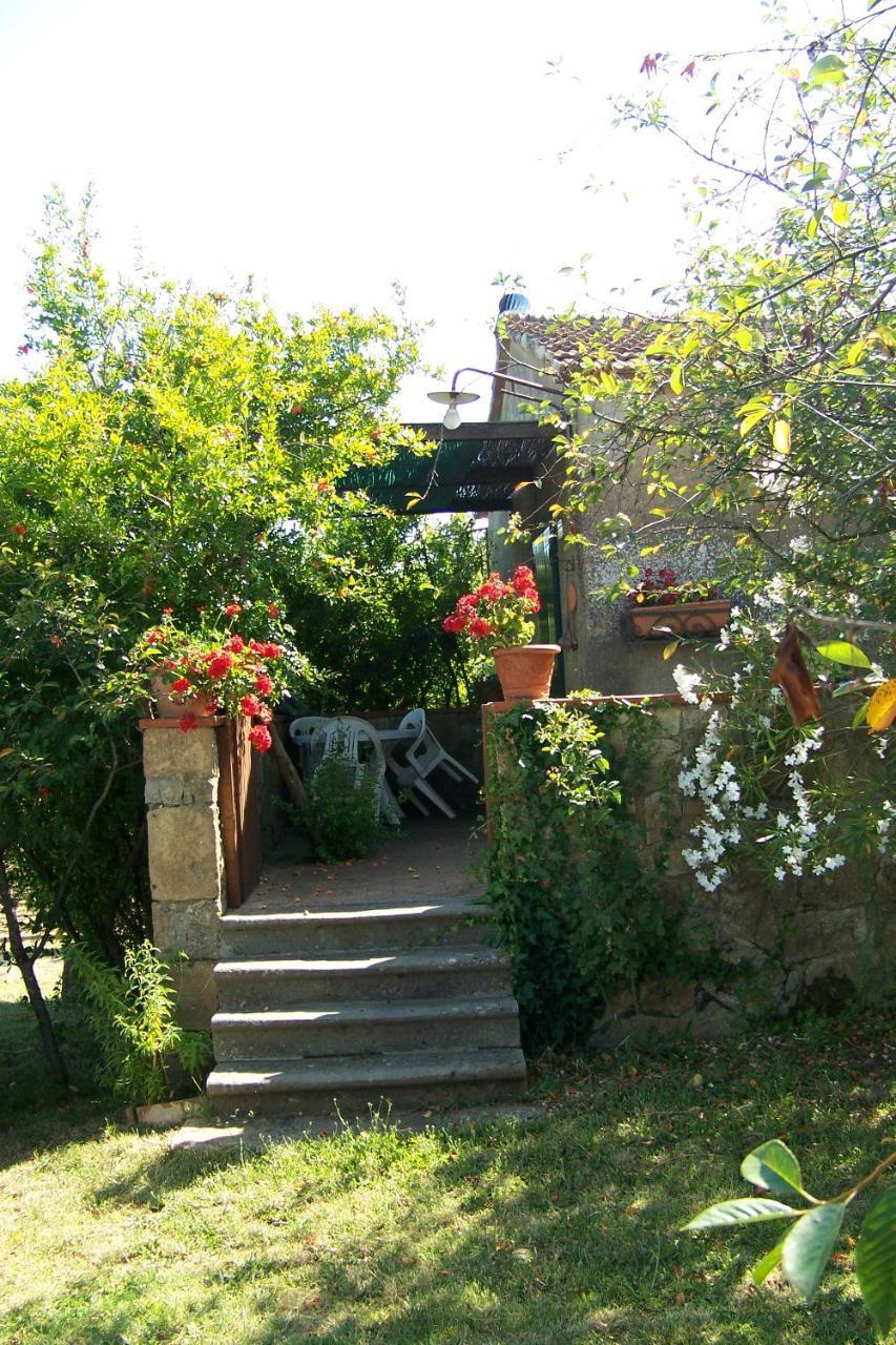 Piccolo Sole Villa Montescudaio Buitenkant foto