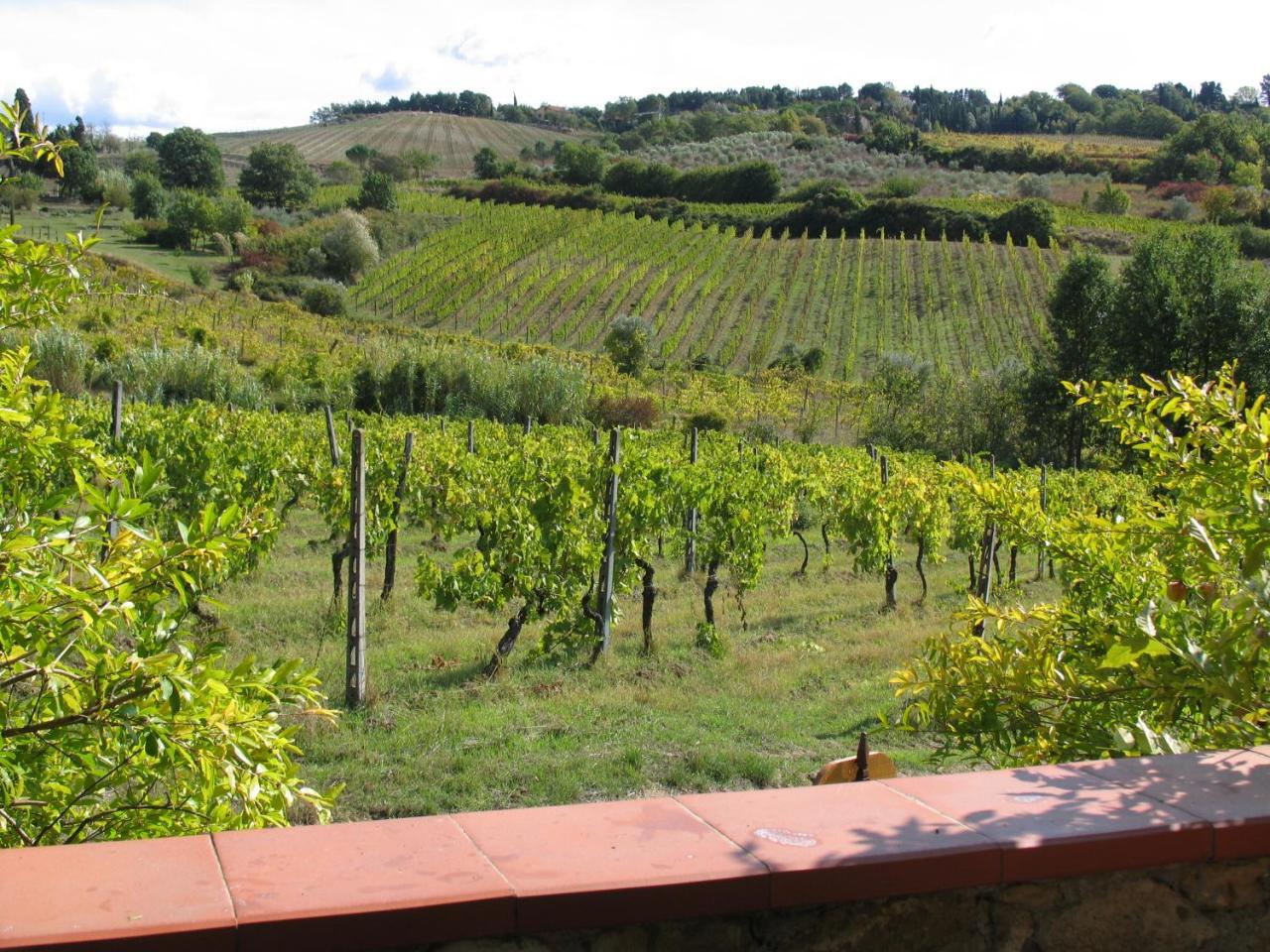 Piccolo Sole Villa Montescudaio Buitenkant foto